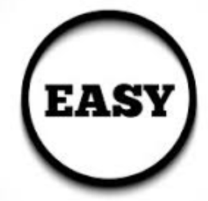 easy logo