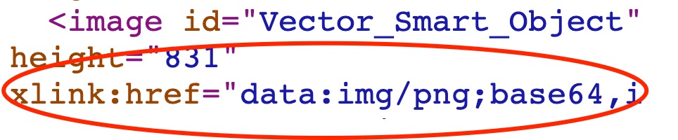 Code snippet with red circling