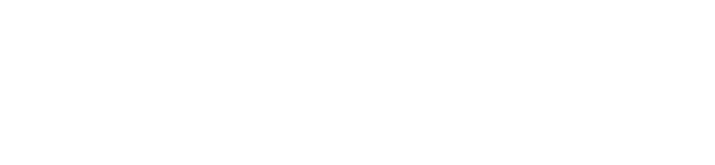 health anchor network logo