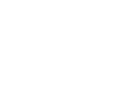 salt wrap logo