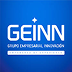 geinn logo