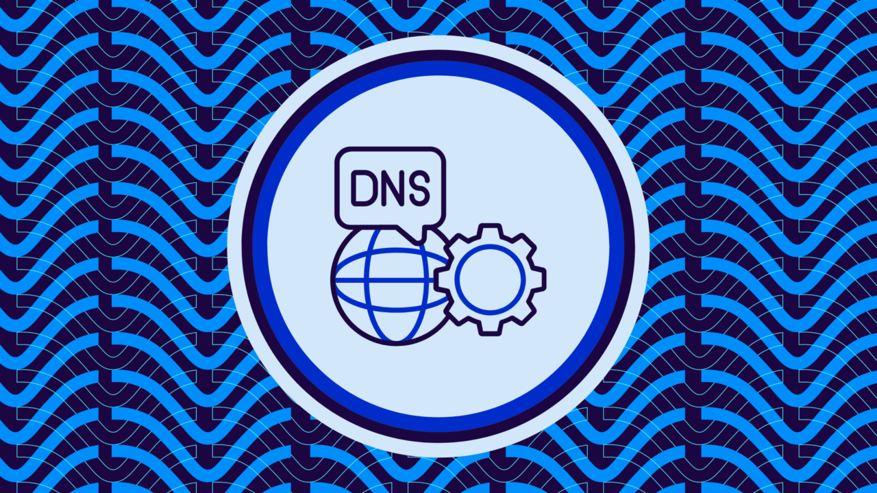 DNS expertise