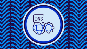 DNS expertise