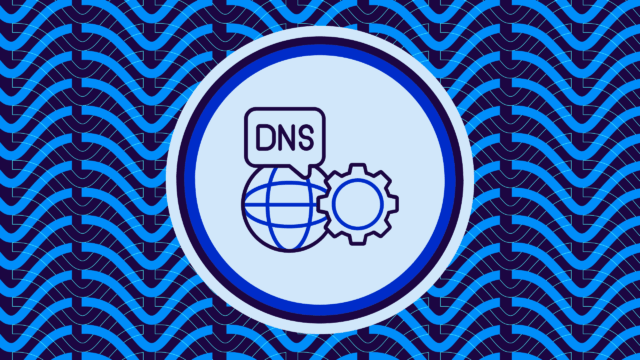 DNS expertise