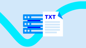 DNS TXT record