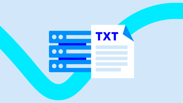 DNS TXT record